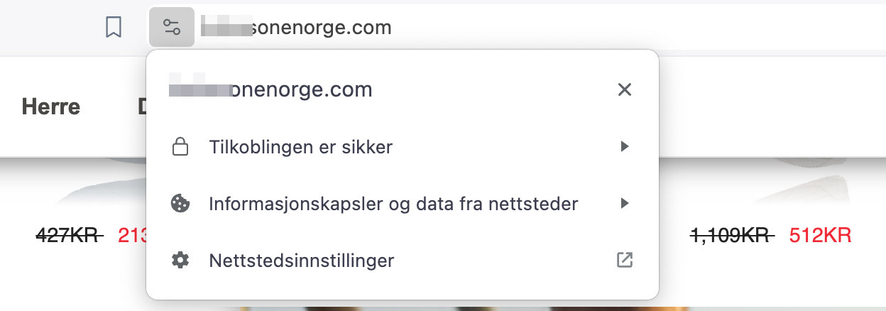 En rar og ikke-offisiell nettadresse kan være et tegn på falske nettsider