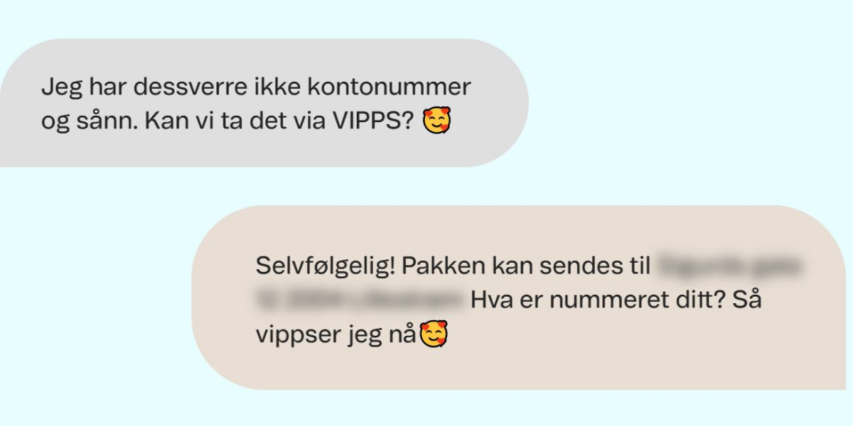 Slik kan et svindelforløp foregå på Tise