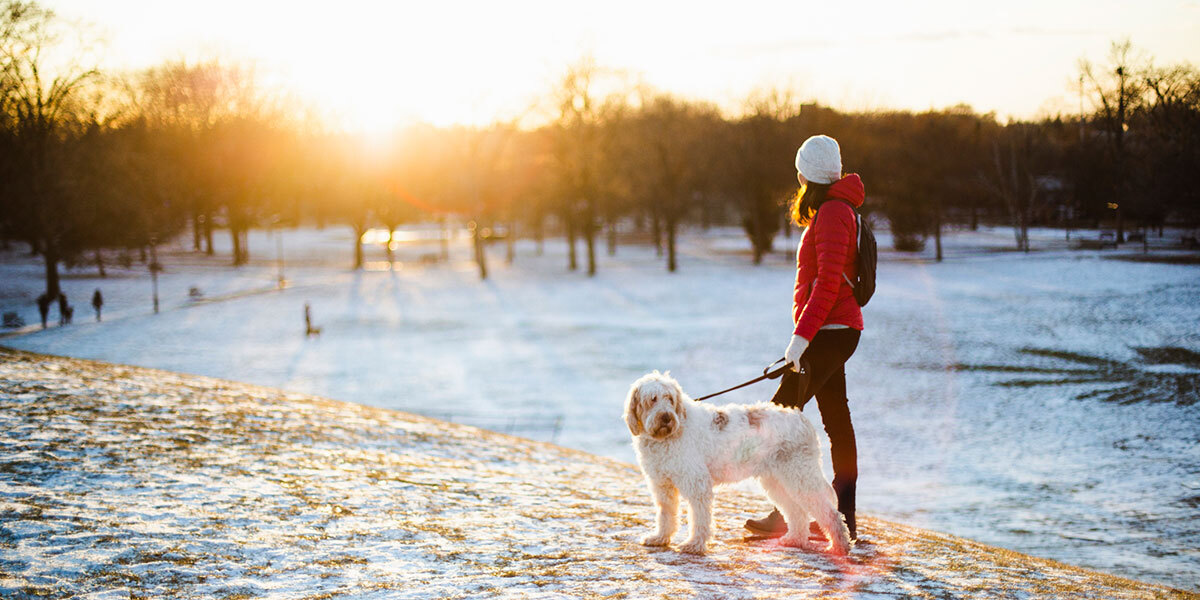 Hund i bånd, med eier, i solnedgang.