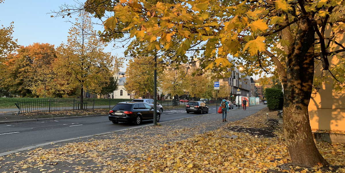 Smart HDR gjør det enklere å få gode bilder av motiver i bevegelse.